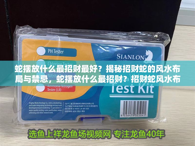 蛇擺放什么最招財(cái)最好？揭秘招財(cái)蛇的風(fēng)水布局與禁忌，蛇擺放什么最招財(cái)？招財(cái)蛇風(fēng)水布局與禁忌全解析 蛇擺放什么最招財(cái)最好？揭秘招財(cái)蛇的風(fēng)水布局與禁忌，蛇擺放什么最招財(cái)？招財(cái)蛇風(fēng)水布局與禁忌全解析 龍魚百科 第1張