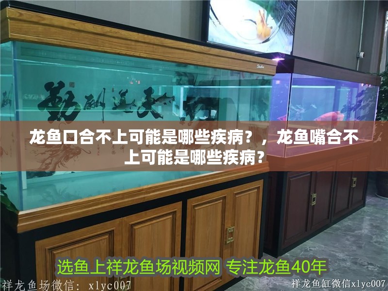 龍魚口合不上可能是哪些疾病？，龍魚嘴合不上可能是哪些疾病？