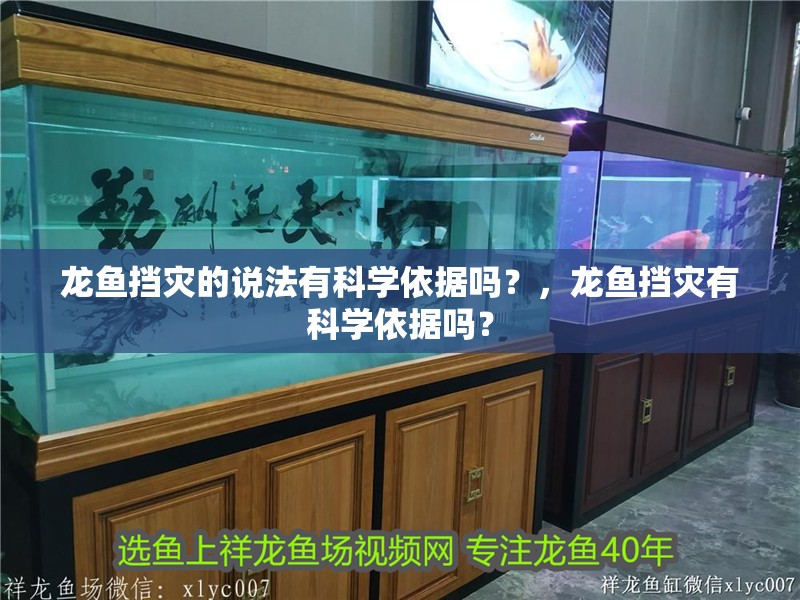 龍魚擋災的說法有科學依據嗎？，龍魚擋災有科學依據嗎？