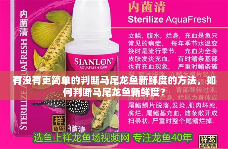 有沒有更簡單的判斷馬尾龍魚新鮮度的方法，如何判斷馬尾龍魚新鮮度？