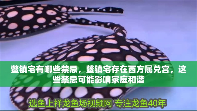 鱉鎮(zhèn)宅有哪些禁忌,鱉鎮(zhèn)宅存在西方屬兌宮,這些禁忌可能影響家庭和諧