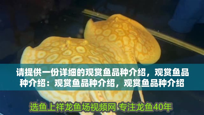 請?zhí)峁┮环菰敿?xì)的觀賞魚品種介紹，觀賞魚品種介紹：觀賞魚品種介紹，觀賞魚品種介紹