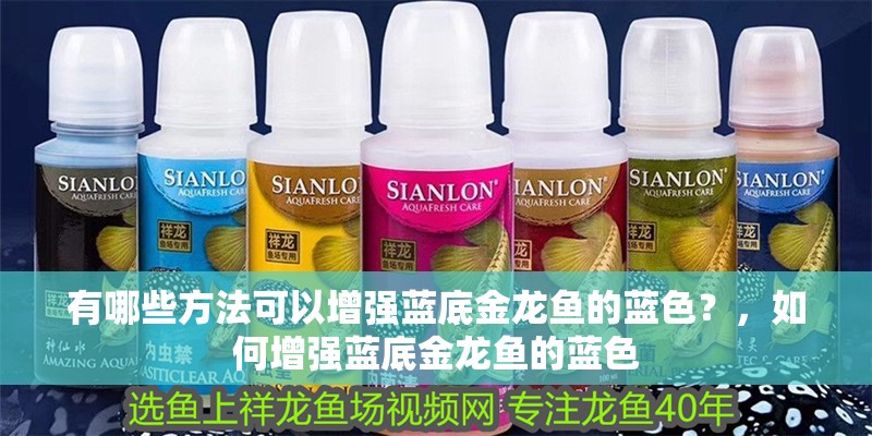 有哪些方法可以增強藍底金龍魚的藍色？，如何增強藍底金龍魚的藍色