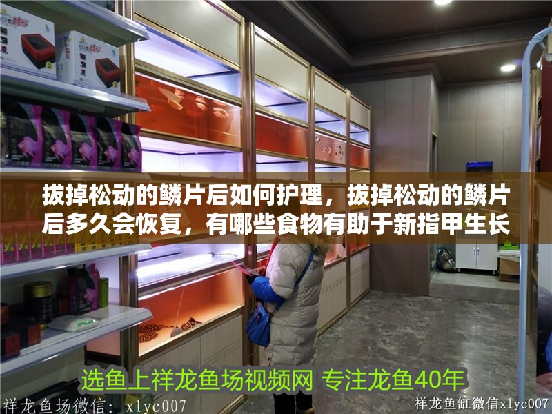 拔掉松動的鱗片后如何護理，拔掉松動的鱗片后多久會恢復(fù)，有哪些食物有助于新指甲生長