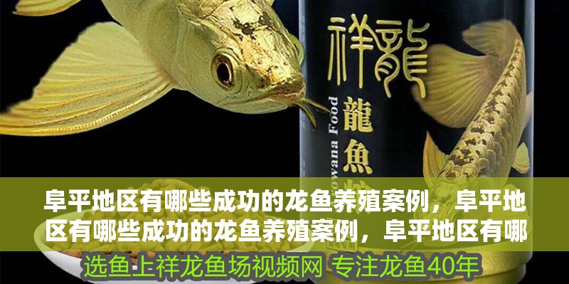 阜平地區(qū)有哪些成功的龍魚養(yǎng)殖案例，阜平地區(qū)有哪些成功的龍魚養(yǎng)殖案例，阜平地區(qū)有哪些成功的成功案例