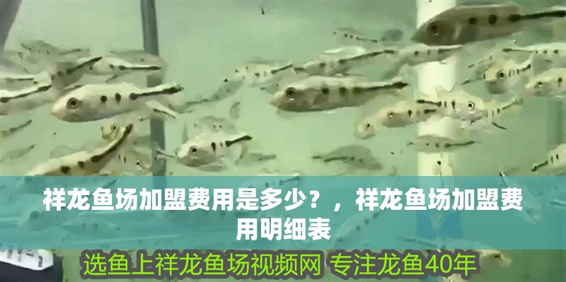 祥龍魚場加盟費(fèi)用是多少？，祥龍魚場加盟費(fèi)用明細(xì)表