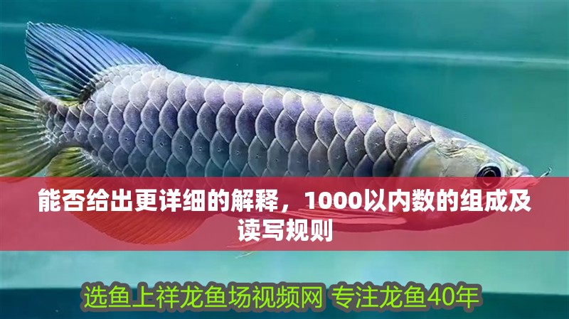 能否給出更詳細(xì)的解釋，1000以內(nèi)數(shù)的組成及讀寫規(guī)則