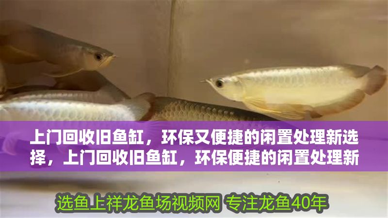 上門回收舊魚缸，環保又便捷的閑置處理新選擇，上門回收舊魚缸，環保便捷的閑置處理新方式 上門回收舊魚缸，環保又便捷的閑置處理新選擇，上門回收舊魚缸，環保便捷的閑置處理新方式 龍魚百科 第1張