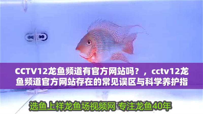 CCTV12龍魚頻道有官方網(wǎng)站嗎？，cctv12龍魚頻道官方網(wǎng)站存在的常見誤區(qū)與科學(xué)養(yǎng)護(hù)指南