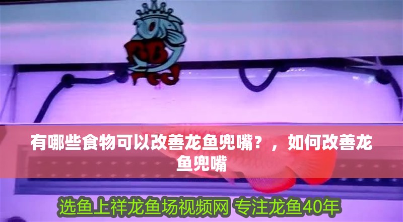 有哪些食物可以改善龍魚(yú)兜嘴？，如何改善龍魚(yú)兜嘴