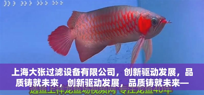 上海大張過濾設備有限公司，創新驅動發展，品質鑄就未來，創新驅動發展，品質鑄就未來——上海大張過濾設備有限公司