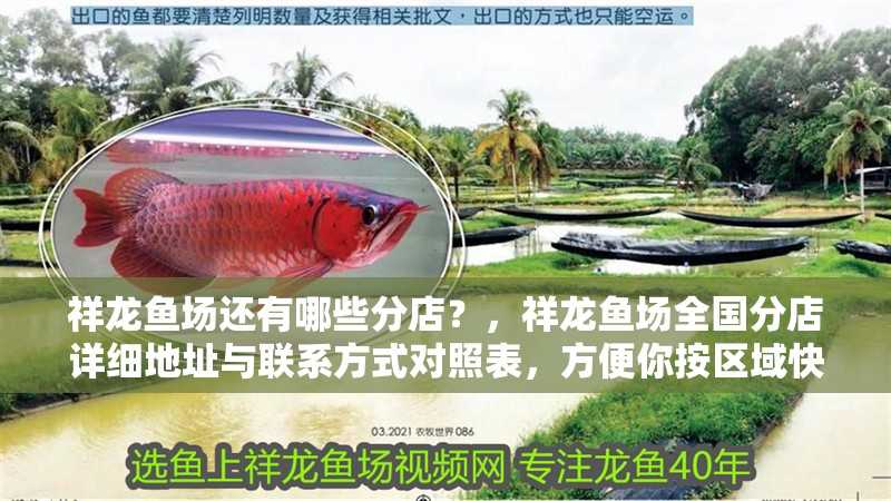 祥龍魚場(chǎng)還有哪些分店？，祥龍魚場(chǎng)全國(guó)分店詳細(xì)地址與聯(lián)系方式對(duì)照表，方便你按區(qū)域快速查找