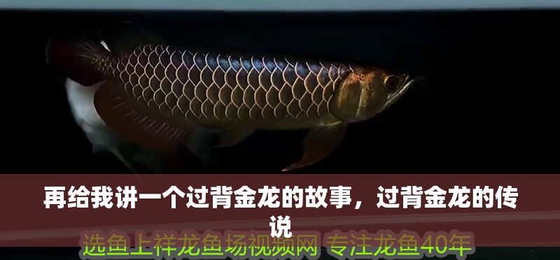 再給我講一個(gè)過背金龍的故事，過背金龍的傳說