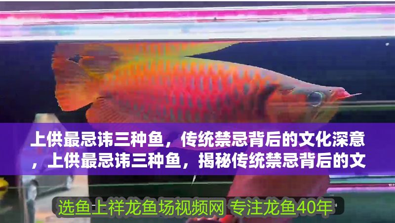 上供最忌諱三種魚，傳統禁忌背后的文化深意，上供最忌諱三種魚，揭秘傳統禁忌背后的文化深意