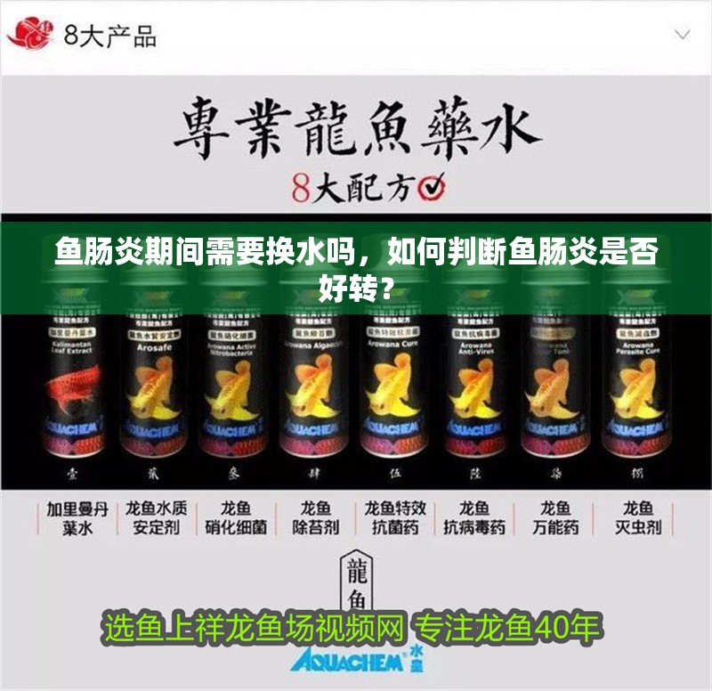 魚(yú)腸炎期間需要換水嗎，如何判斷魚(yú)腸炎是否好轉(zhuǎn)？