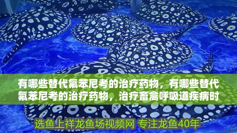 有哪些替代氟苯尼考的治療藥物，有哪些替代氟苯尼考的治療藥物，治療畜禽呼吸道疾病時