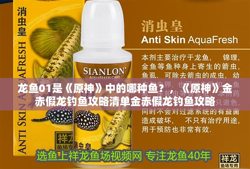 龍魚01是《原神》中的哪種魚？，《原神》金赤假龍釣魚攻略清單金赤假龍釣魚攻略