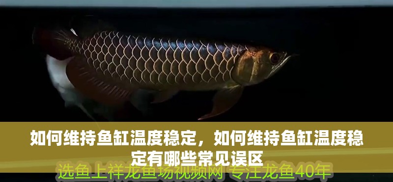 如何維持魚缸溫度穩定，如何維持魚缸溫度穩定有哪些常見誤區