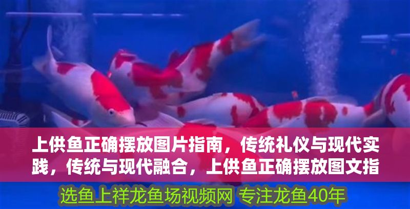 上供魚正確擺放圖片指南，傳統禮儀與現代實踐，傳統與現代融合，上供魚正確擺放圖文指南