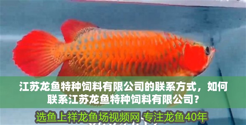 江蘇龍魚特種飼料有限公司的聯系方式，如何聯系江蘇龍魚特種飼料有限公司？