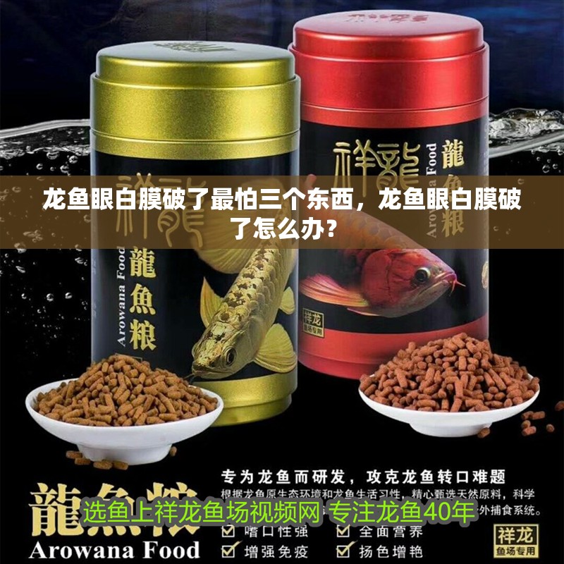 龍魚眼白膜破了最怕三個東西，龍魚眼白膜破了怎么辦？