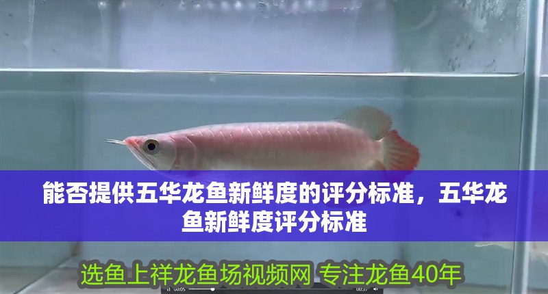 能否提供五華龍魚新鮮度的評分標準，五華龍魚新鮮度評分標準