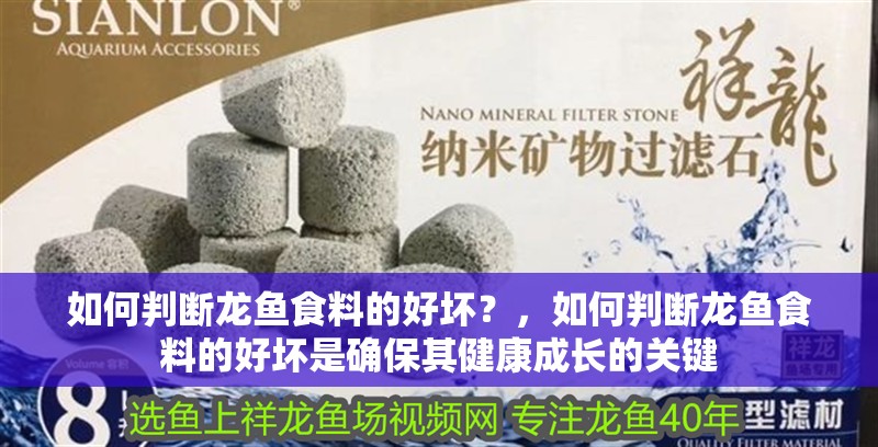 如何判斷龍魚食料的好壞？，如何判斷龍魚食料的好壞是確保其健康成長的關鍵