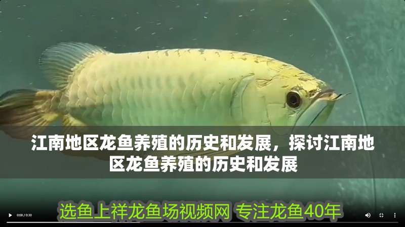 江南地區龍魚養殖的歷史和發展，探討江南地區龍魚養殖的歷史和發展
