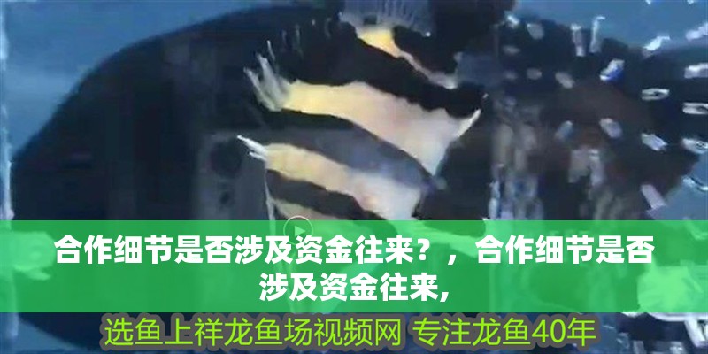 合作細節是否涉及資金往來？，合作細節是否涉及資金往來,