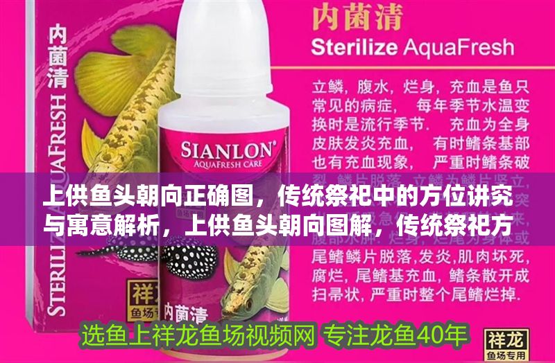 上供魚頭朝向正確圖，傳統祭祀中的方位講究與寓意解析，上供魚頭朝向圖解，傳統祭祀方位寓意與正確擺放指南