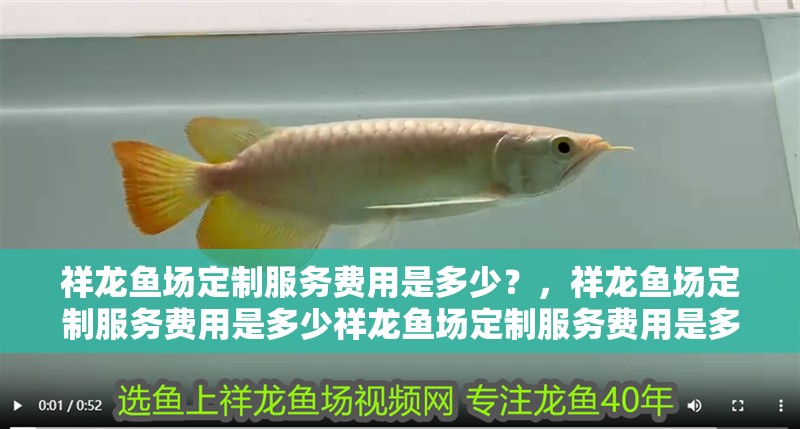 祥龍魚場定制服務(wù)費用是多少？，祥龍魚場定制服務(wù)費用是多少祥龍魚場定制服務(wù)費用是多少