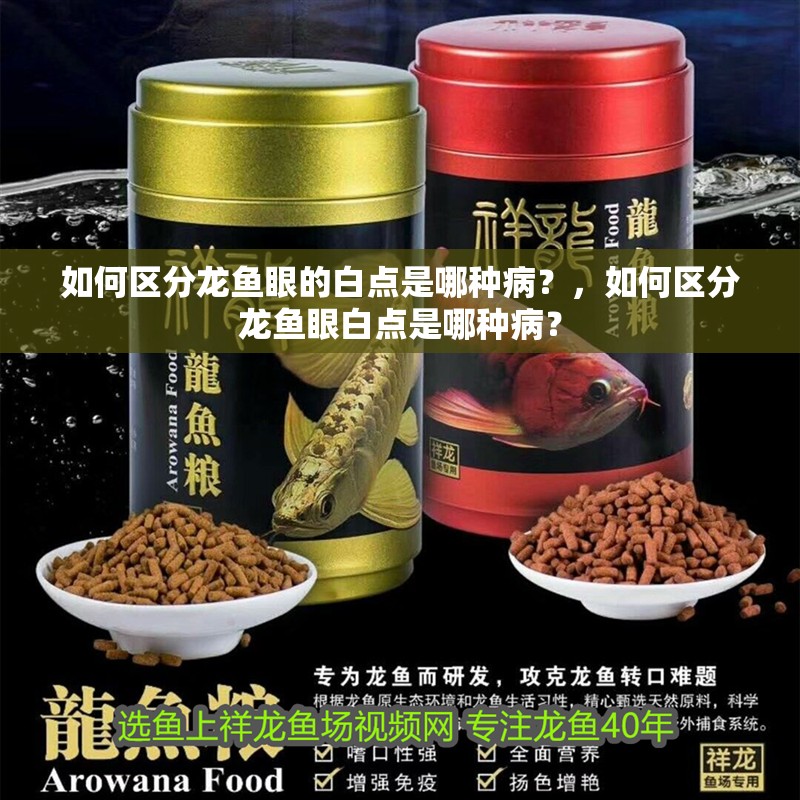 如何區分龍魚眼的白點是哪種病？，如何區分龍魚眼白點是哪種病？