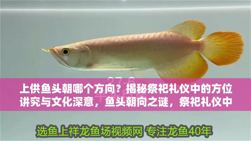上供魚頭朝哪個(gè)方向？揭秘祭祀禮儀中的方位講究與文化深意，魚頭朝向之謎，祭祀禮儀中的方位講究與文化解讀