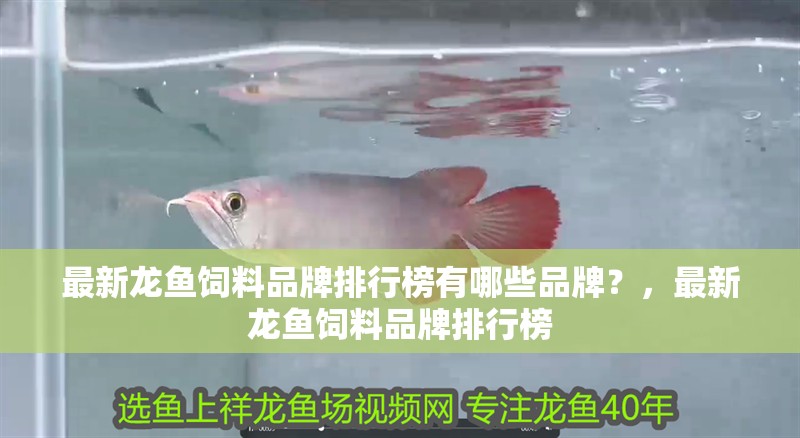 最新龍魚飼料品牌排行榜有哪些品牌？，最新龍魚飼料品牌排行榜