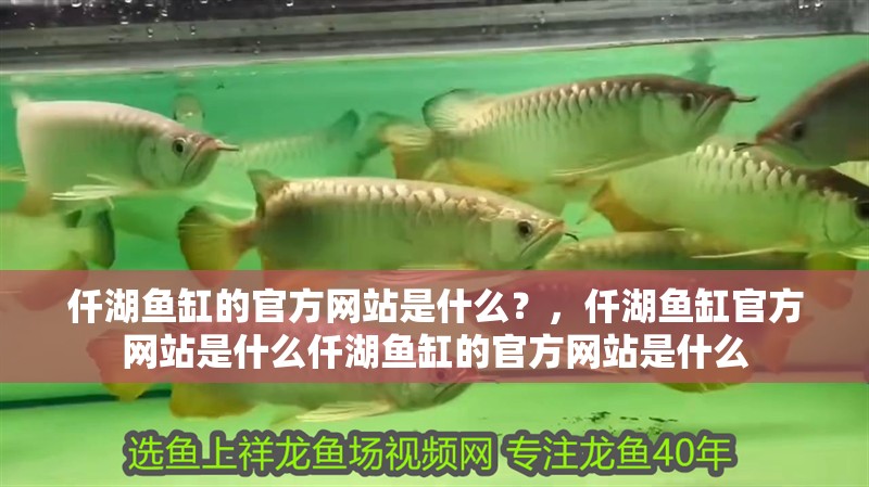 仟湖魚缸的官方網(wǎng)站是什么？，仟湖魚缸官方網(wǎng)站是什么仟湖魚缸的官方網(wǎng)站是什么