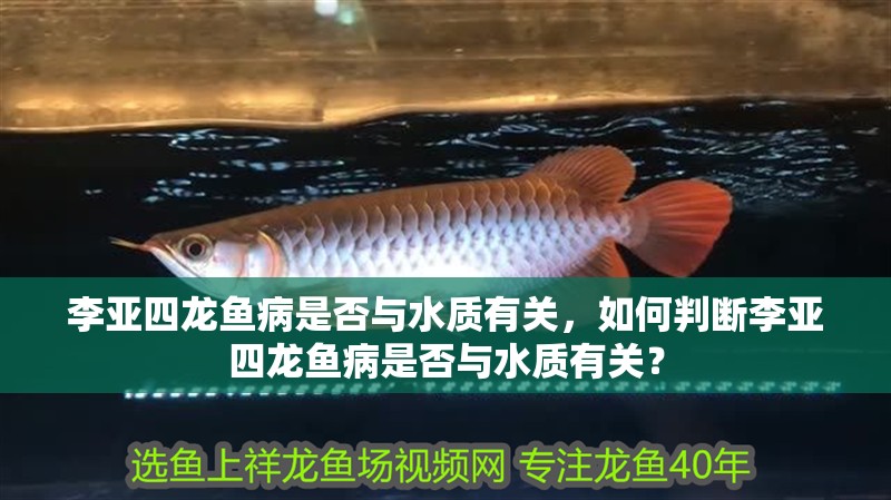 李亞四龍魚病是否與水質(zhì)有關，如何判斷李亞四龍魚病是否與水質(zhì)有關？