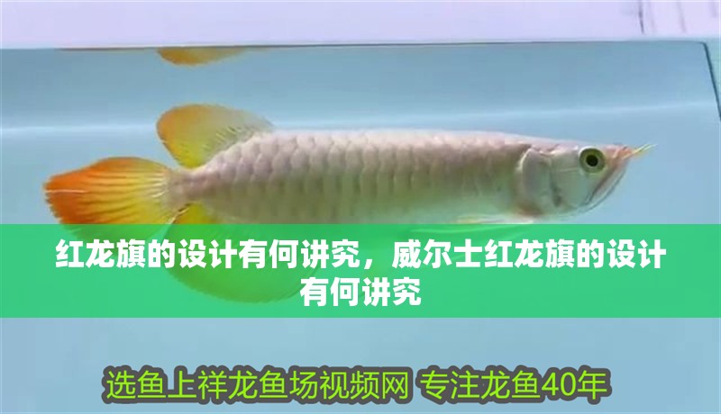 紅龍旗的設計有何講究，威爾士紅龍旗的設計有何講究