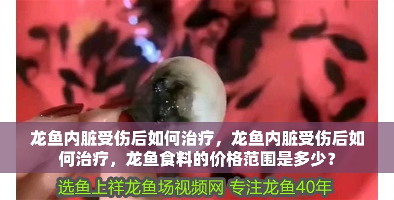 龍魚內臟受傷后如何治療，龍魚內臟受傷后如何治療，龍魚食料的價格范圍是多少？