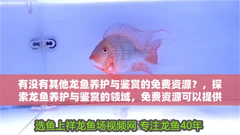 有沒有其他龍魚養護與鑒賞的免費資源?,探索龍魚養護與鑒賞的領域,免費資源可以提供幫助