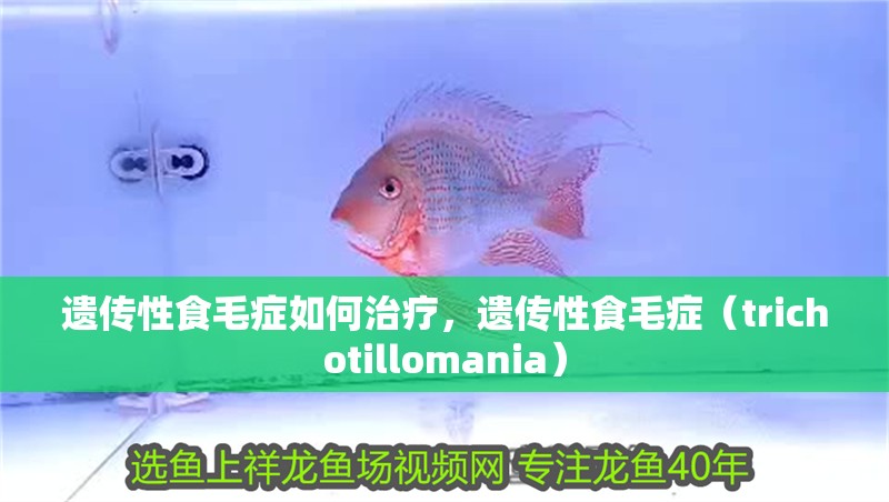 遺傳性食毛癥如何治療，遺傳性食毛癥（trichotillomania）