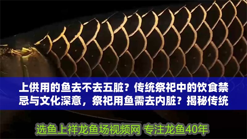 上供用的魚去不去五臟？傳統(tǒng)祭祀中的飲食禁忌與文化深意，祭祀用魚需去內(nèi)臟？揭秘傳統(tǒng)供品背后的飲食禁忌與文化內(nèi)涵