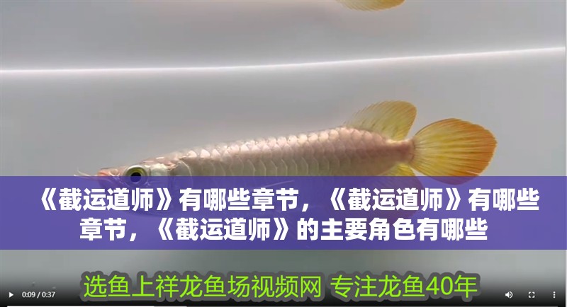 《截運道師》有哪些章節，《截運道師》有哪些章節，《截運道師》的主要角色有哪些