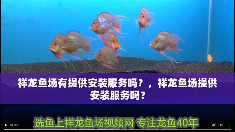 祥龍魚場有提供安裝服務嗎？，祥龍魚場提供安裝服務嗎？