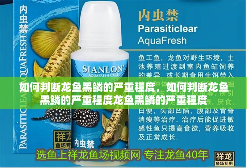 如何判斷龍魚黑鱗的嚴重程度，如何判斷龍魚黑鱗的嚴重程度龍魚黑鱗的嚴重程度