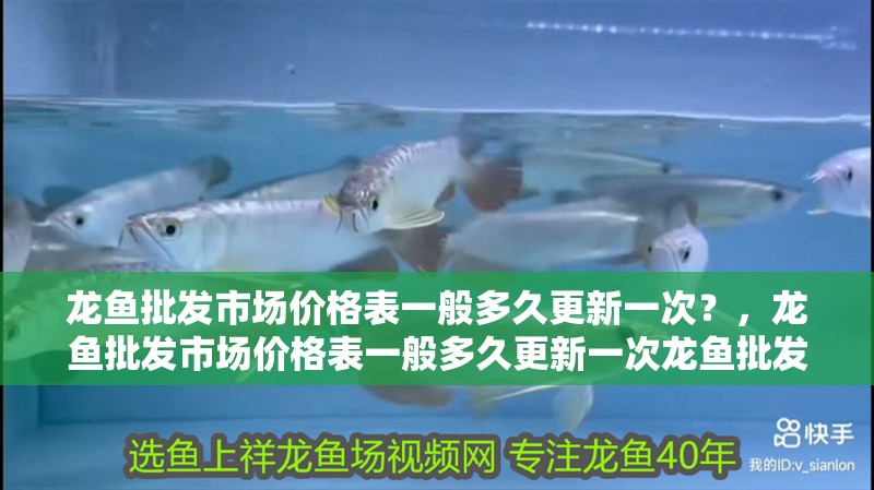 龍魚批發(fā)市場價格表一般多久更新一次？，龍魚批發(fā)市場價格表一般多久更新一次龍魚批發(fā)市場價格表