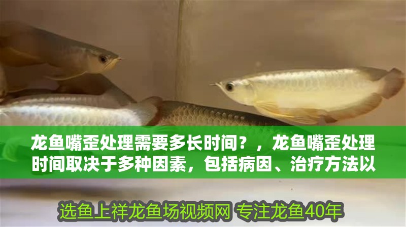 龍魚嘴歪處理需要多長時間？，龍魚嘴歪處理時間取決于多種因素，包括病因、治療方法以及個體差異