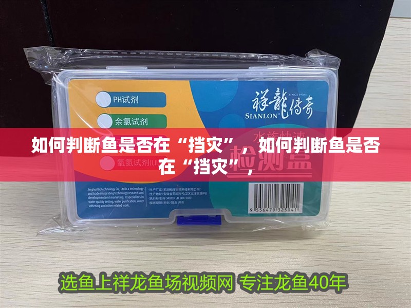 如何判斷魚是否在“擋災”，如何判斷魚是否在“擋災”，