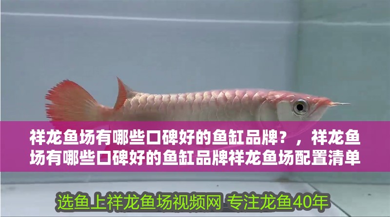 祥龍魚(yú)場(chǎng)有哪些口碑好的魚(yú)缸品牌？，祥龍魚(yú)場(chǎng)有哪些口碑好的魚(yú)缸品牌祥龍魚(yú)場(chǎng)配置清單