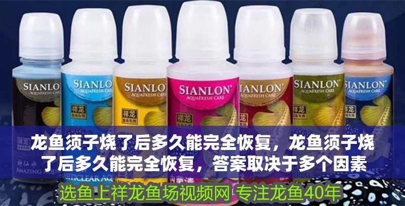 龍魚須子燒了后多久能完全恢復，龍魚須子燒了后多久能完全恢復，答案取決于多個因素