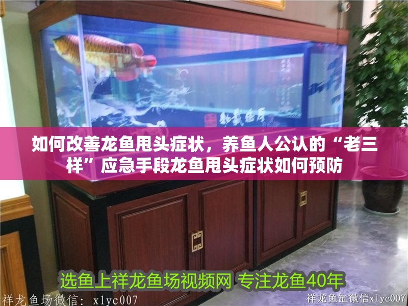 如何改善龍魚甩頭癥狀，養魚人公認的“老三樣”應急手段龍魚甩頭癥狀如何預防